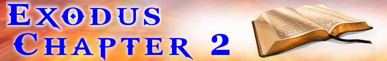 Exodus Chapter 2