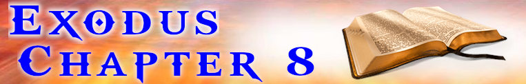 Exodus Chapter 8