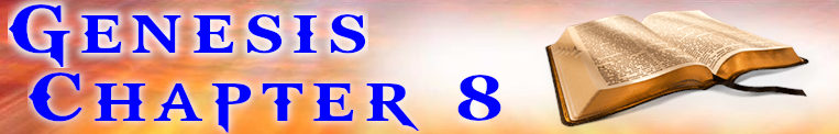 Genesis Chapter 8