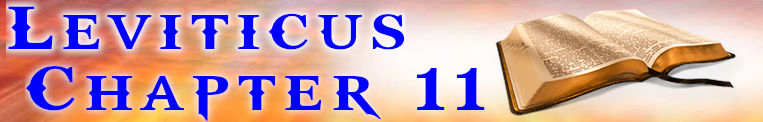 Leviticus Chapter 11