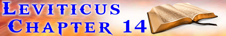 Leviticus Chapter 14