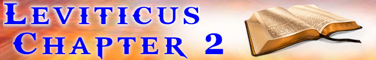 Leviticus Chapter 2