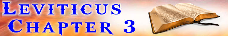Leviticus Chapter 3