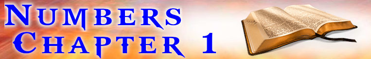 Numbers Chapter 1