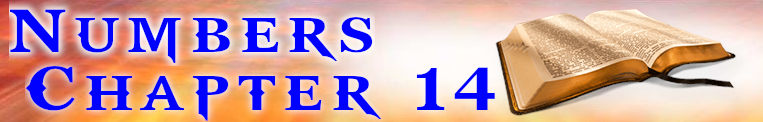Numbers Chapter 14