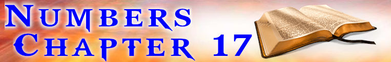 Numbers Chapter 17