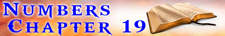 Numbers Chapter 19