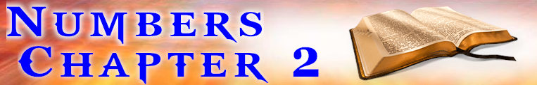 Numbers Chapter 2