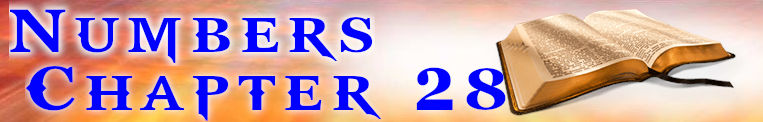 Numbers Chapter 28