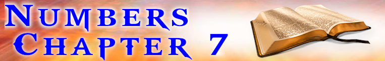 Numbers Chapter 7