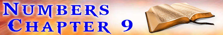 Numbers Chapter 9