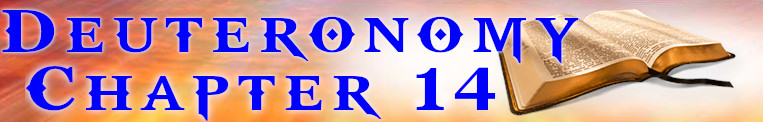 deuteronomy-chapter-14