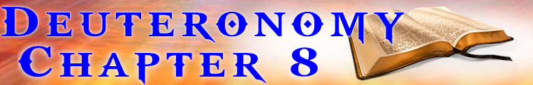 deuteronomy-chapter-8