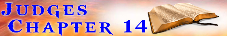 Judges Chapter 14