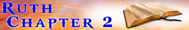 Ruth Chapter 2