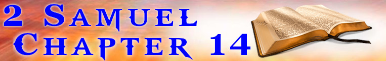 2 Samuel 14